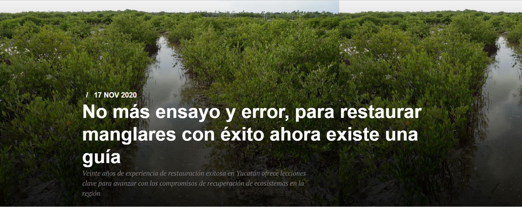 No más ensayo error. Noticia de CIFOR