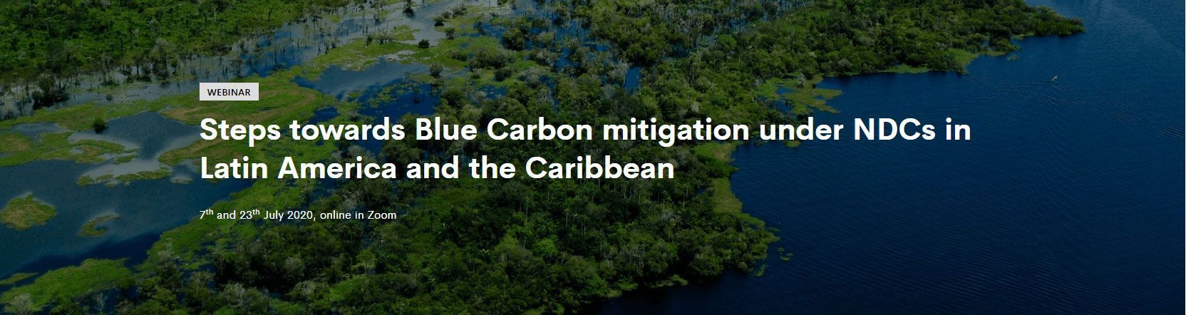 Webinar blue carbon