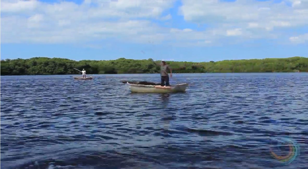 laguna Celentum