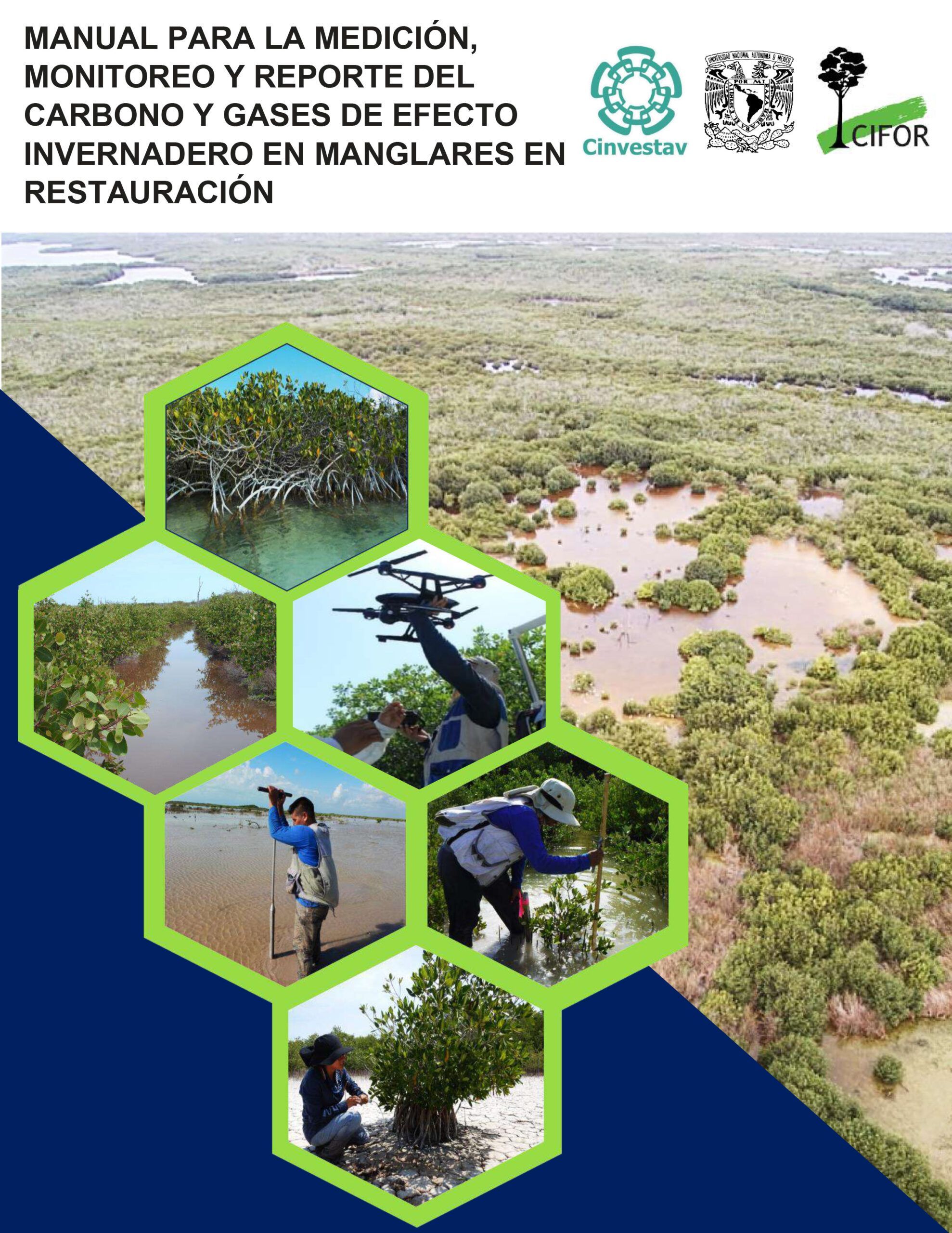 portada manual de captura de carbono en manglares en restauración
