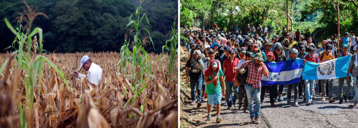 Sequías y migraciones humanas en Centroamérica