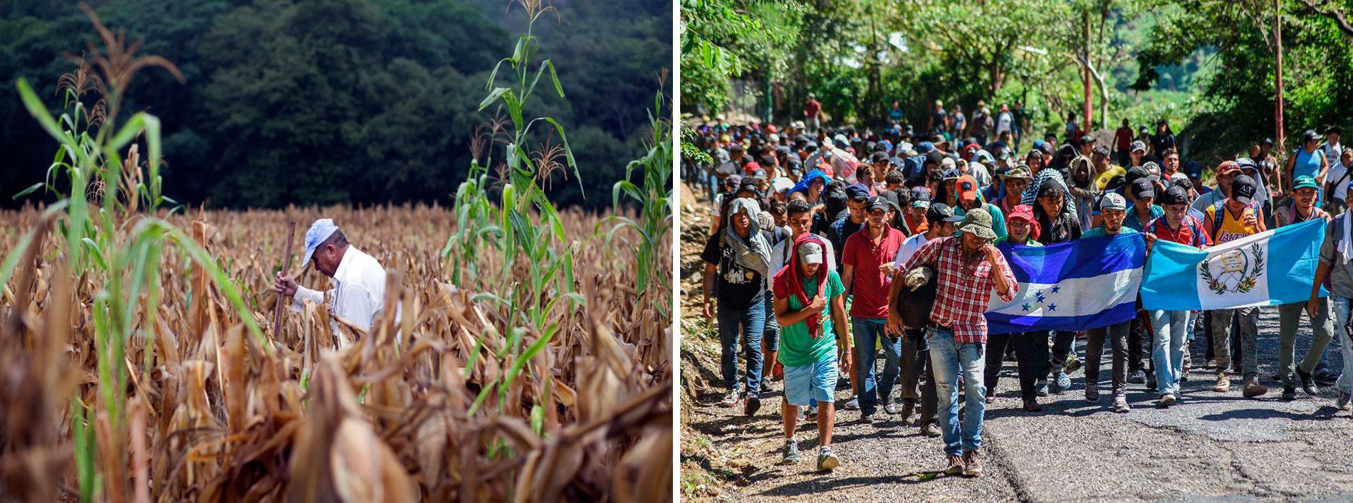 Sequías y migraciones humanas en Centroamérica